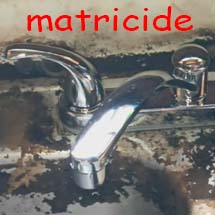 Randy Charles Johnson